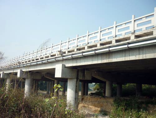 洄瀾、飛水大橋檢測