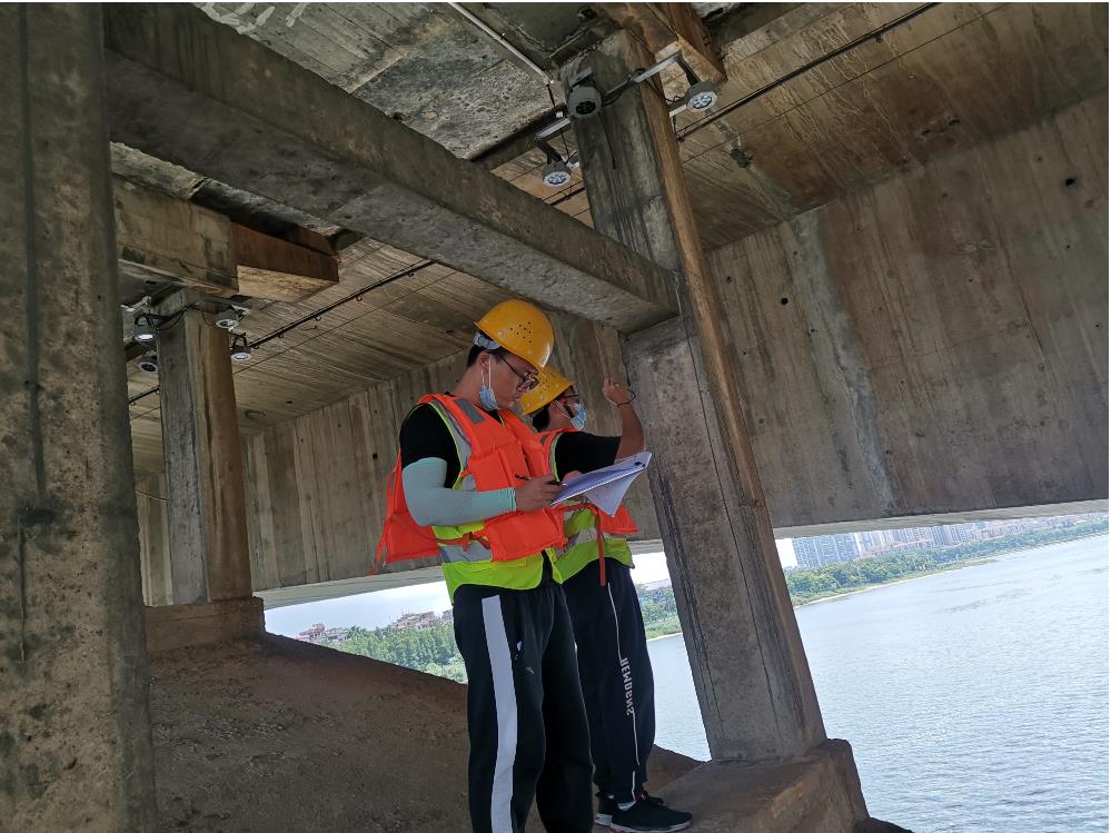 石龍項(xiàng)目檢測(cè)